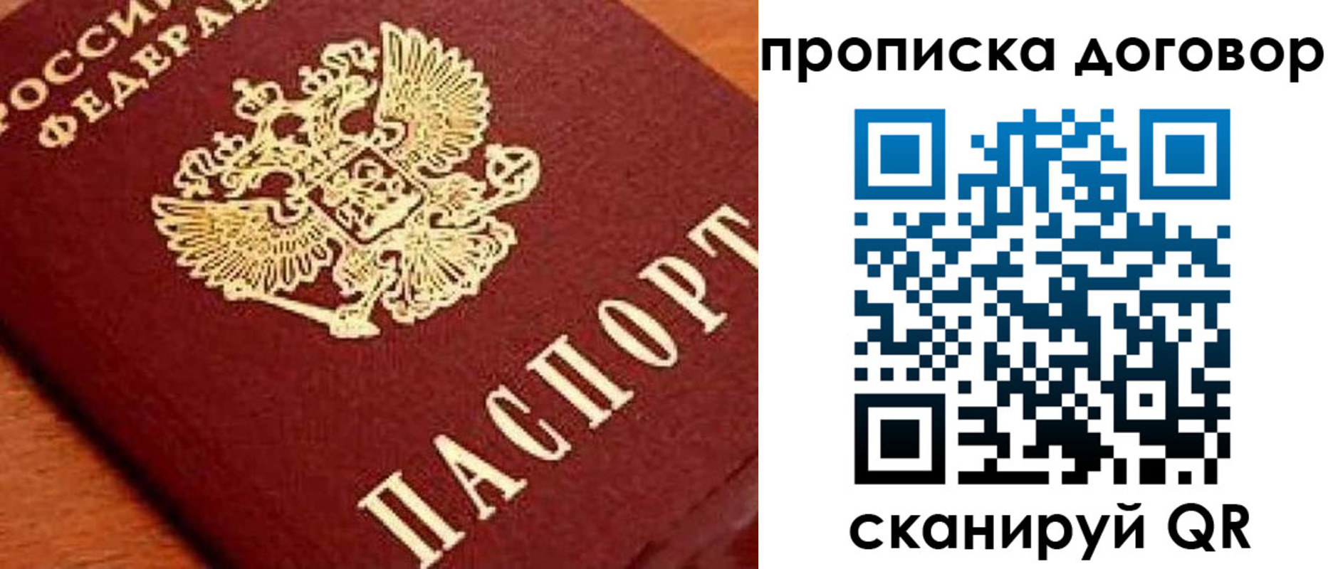 прописка поиск в Мурманской области